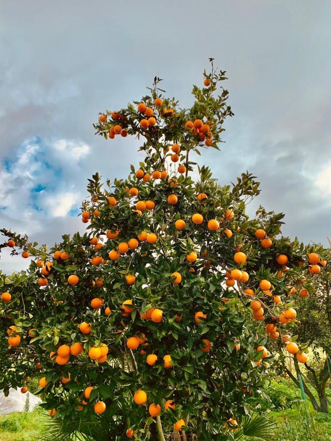 Appartamento Villa Lucia SantʼEufemia Lamezia Eksteriør bilde